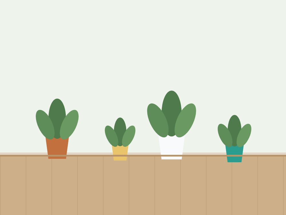 Lot de 6 plantes et cache-pots